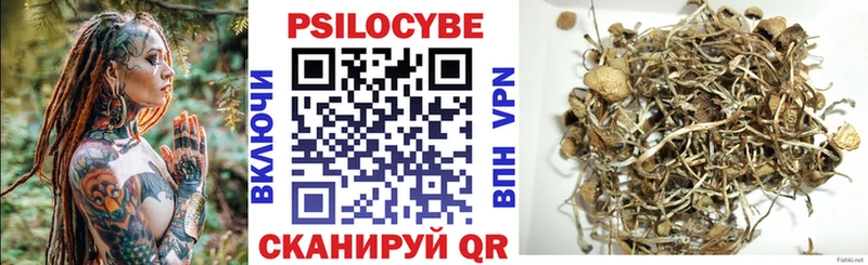 блэк спрут ССЫЛКА  Калининград  Галлюциногенные грибы мицелий  что такое  